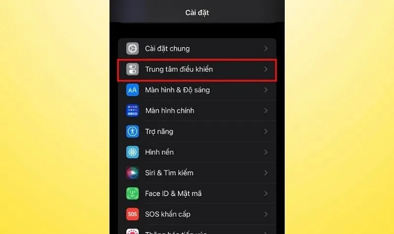 Cách khắc phục lỗi camera iPhone bị đen nhanh nhất