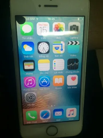 Fix hoàn toàn lỗi màn hình iPhone 5 bị chấm đen