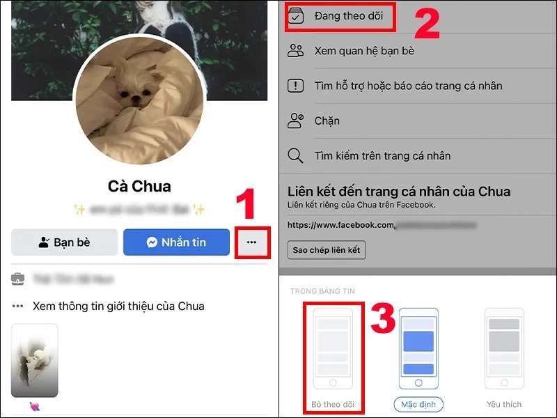 Hướng dẫn cách bỏ theo dõi trên Facebook nhanh nhất