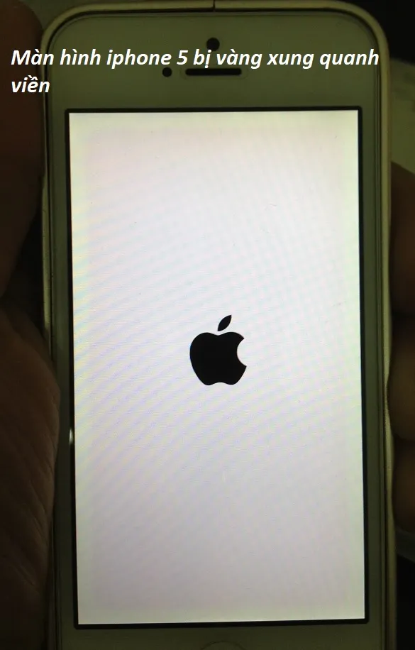Khắc phục lỗi màn hình iphone 5 bị vàng xung quanh nhanh