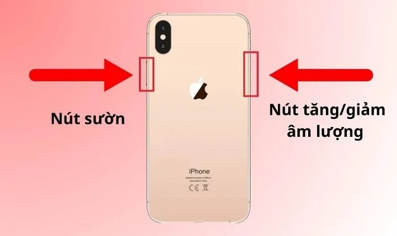 Lỗi Panic Full iPhone là gì? Cách sửa lỗi hiệu quả nhất